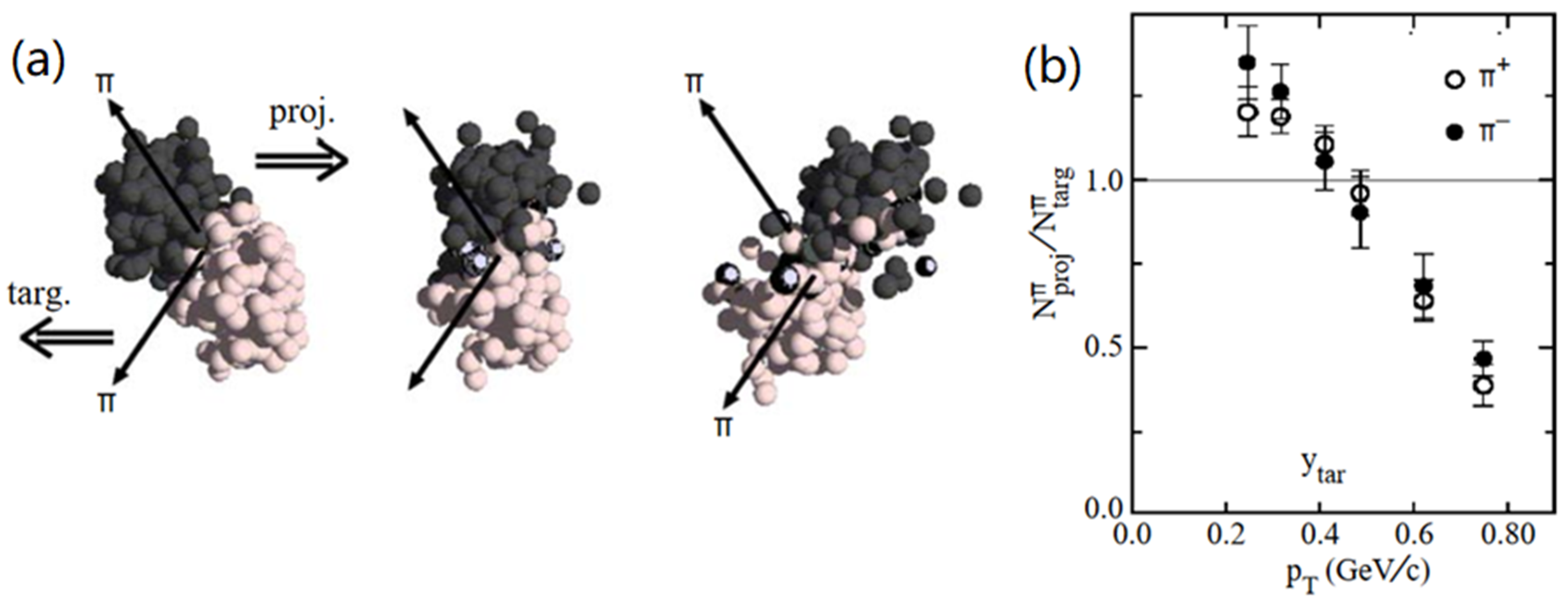 Particles 05 00003 g005