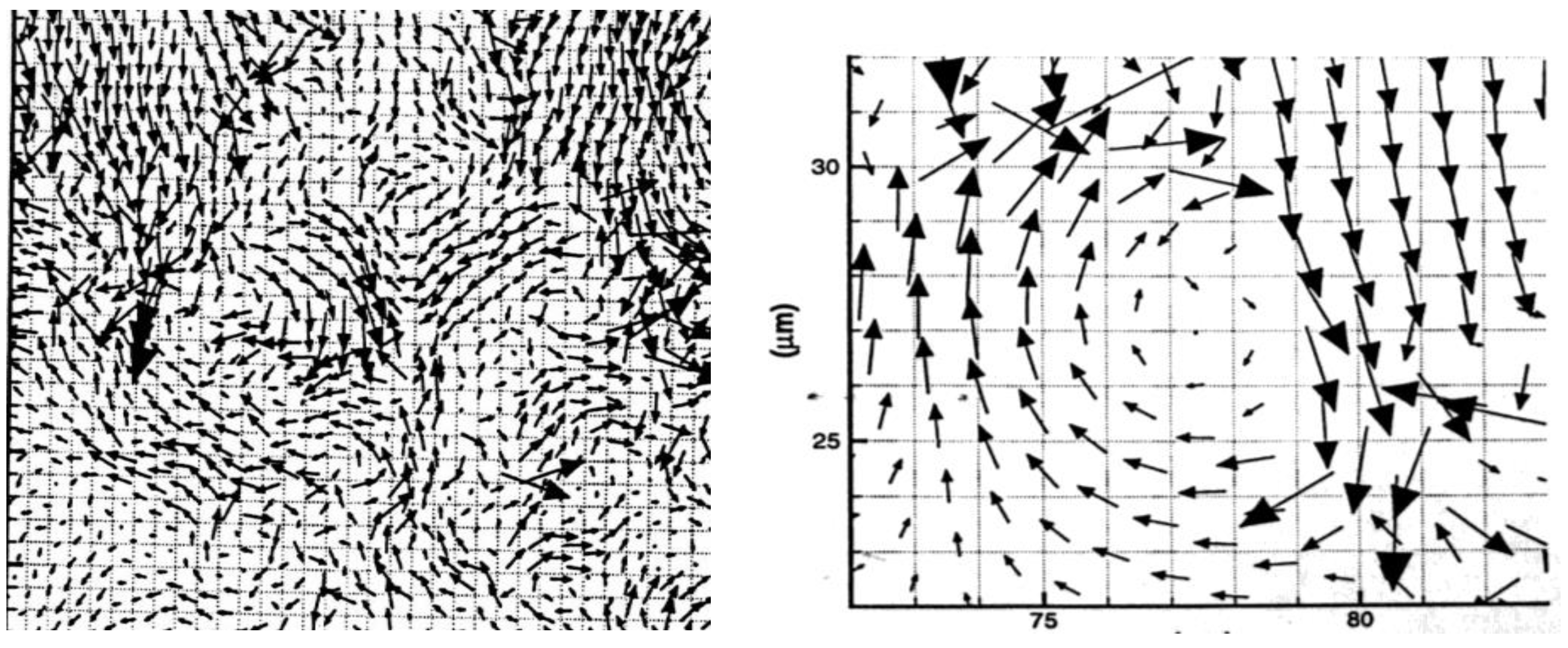 Particles 05 00032 g006
