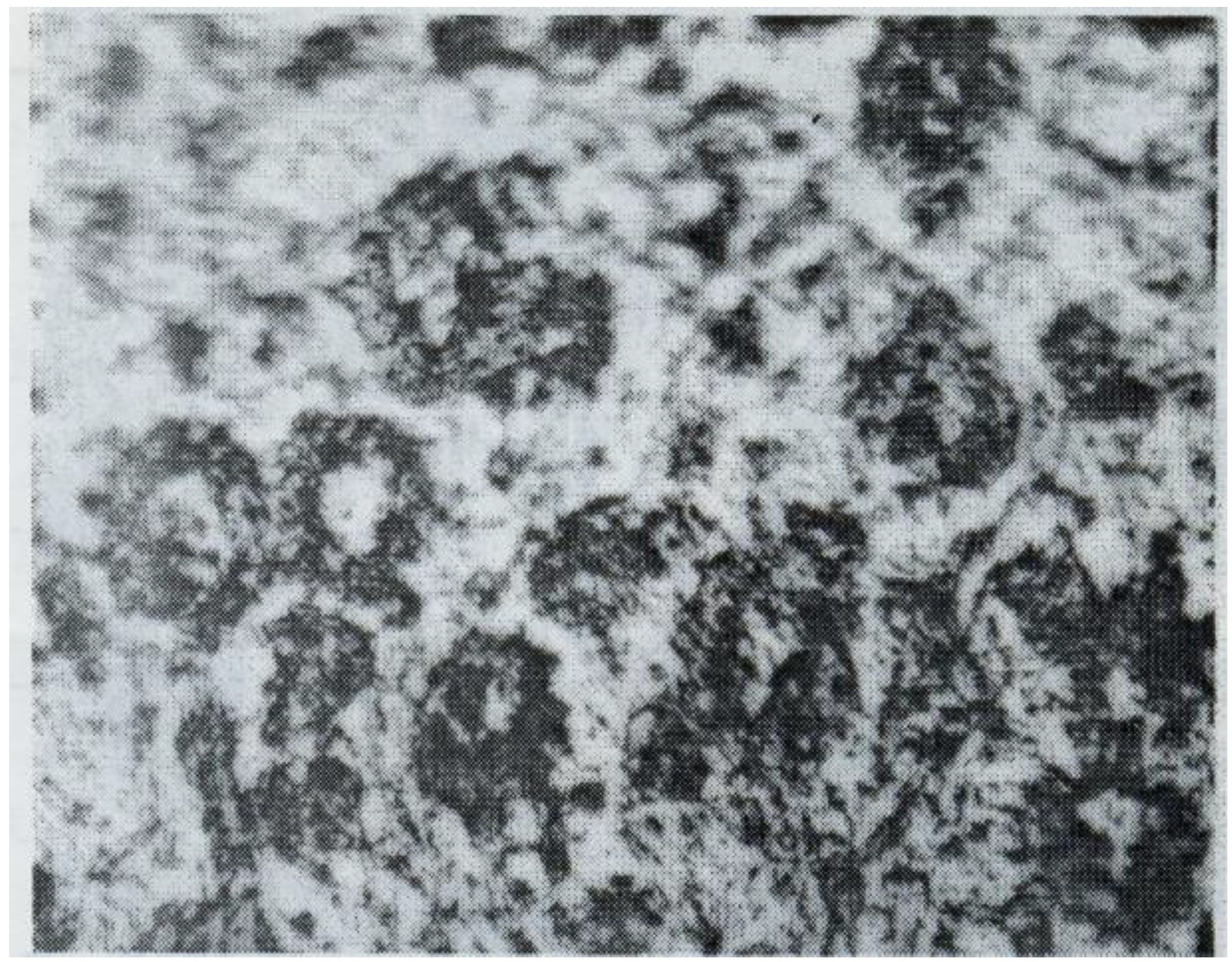 Particles 05 00032 g007