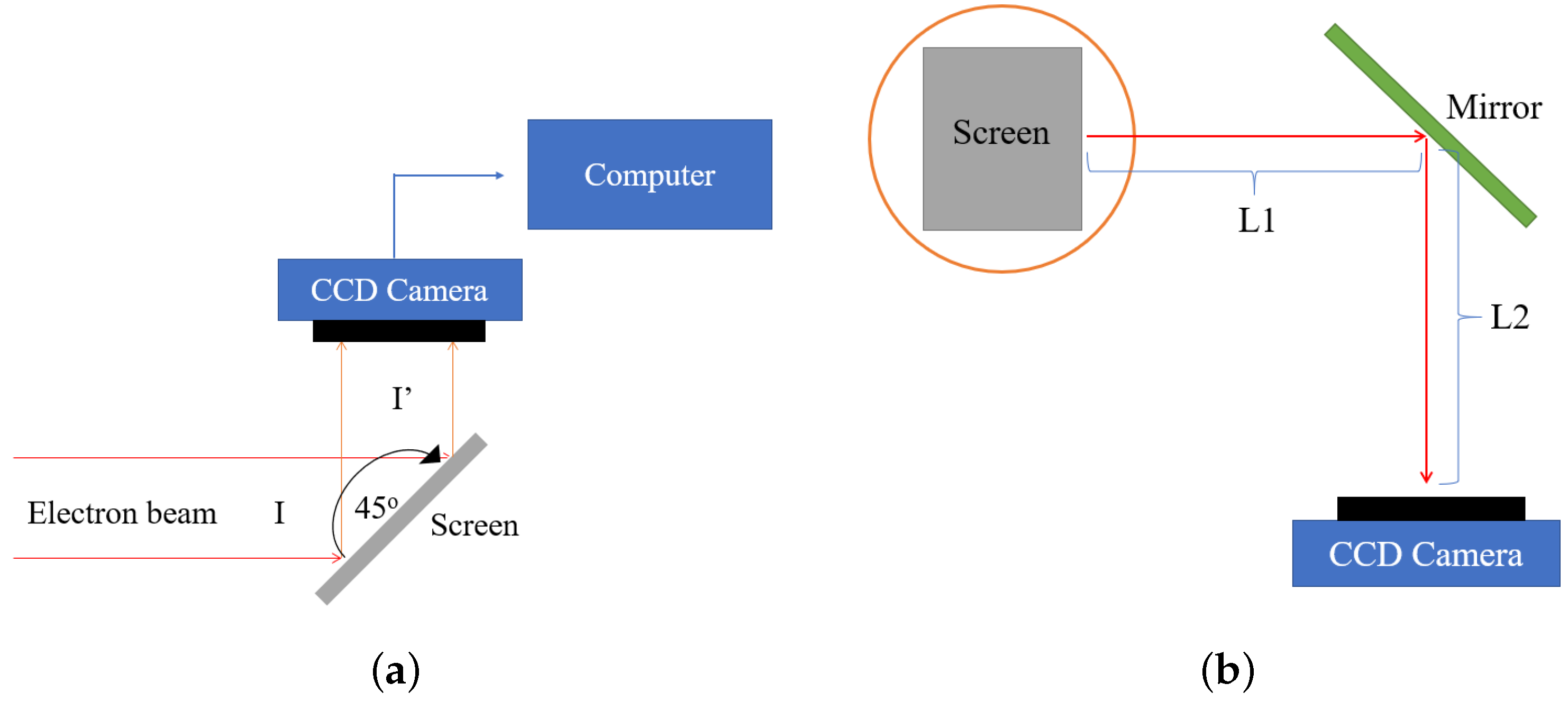 Particles 06 00043 g003