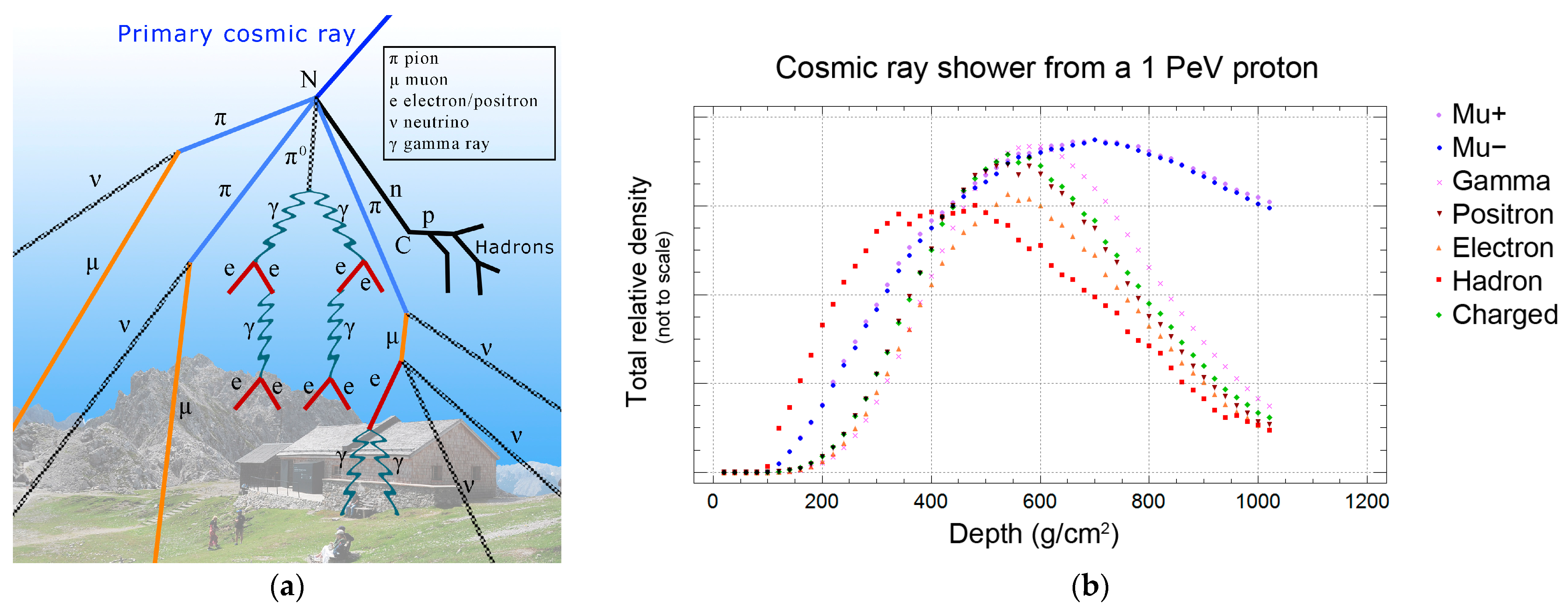 Particles 07 00034 g001