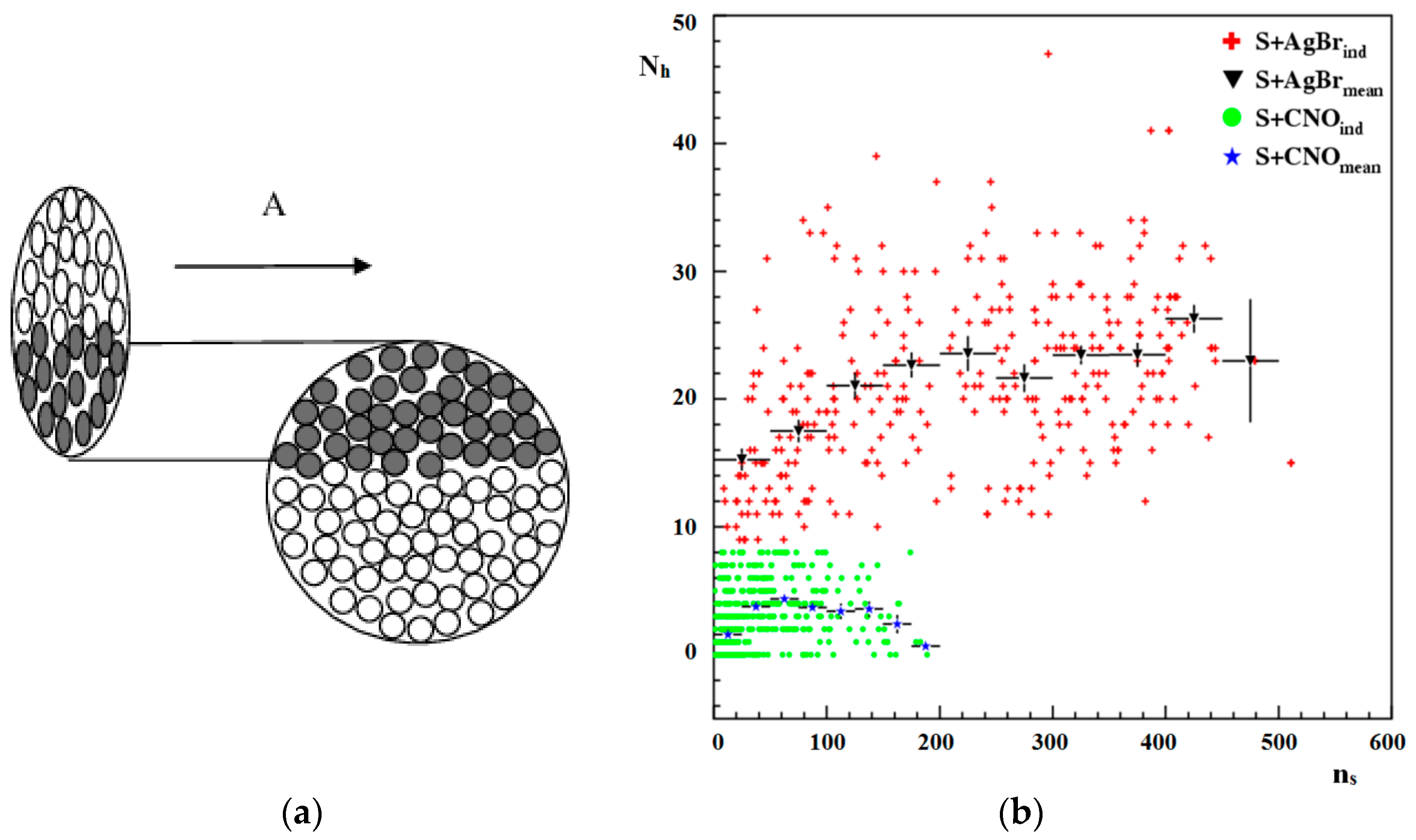 Particles 07 00055 g001