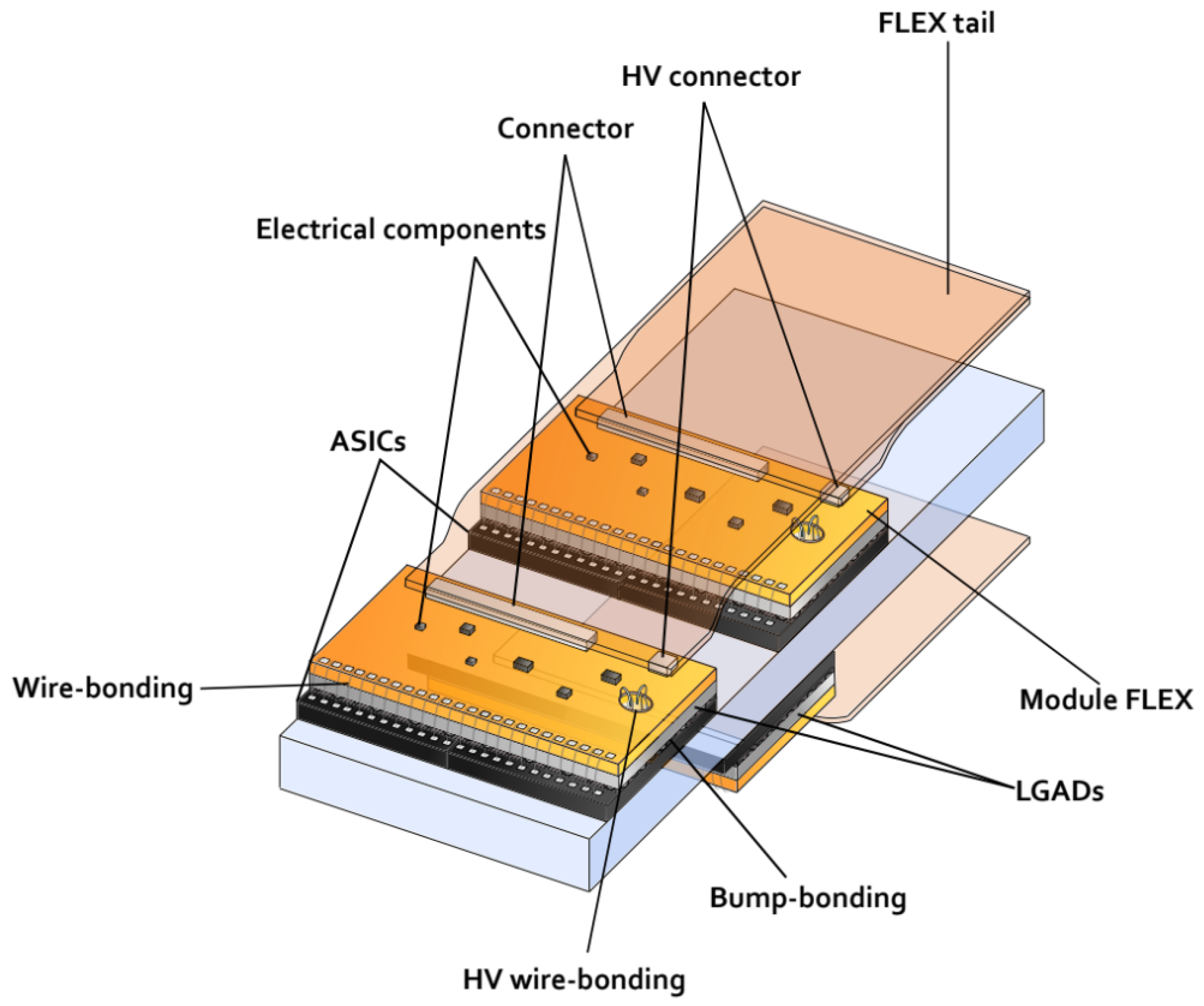 Particles 08 00036 g005