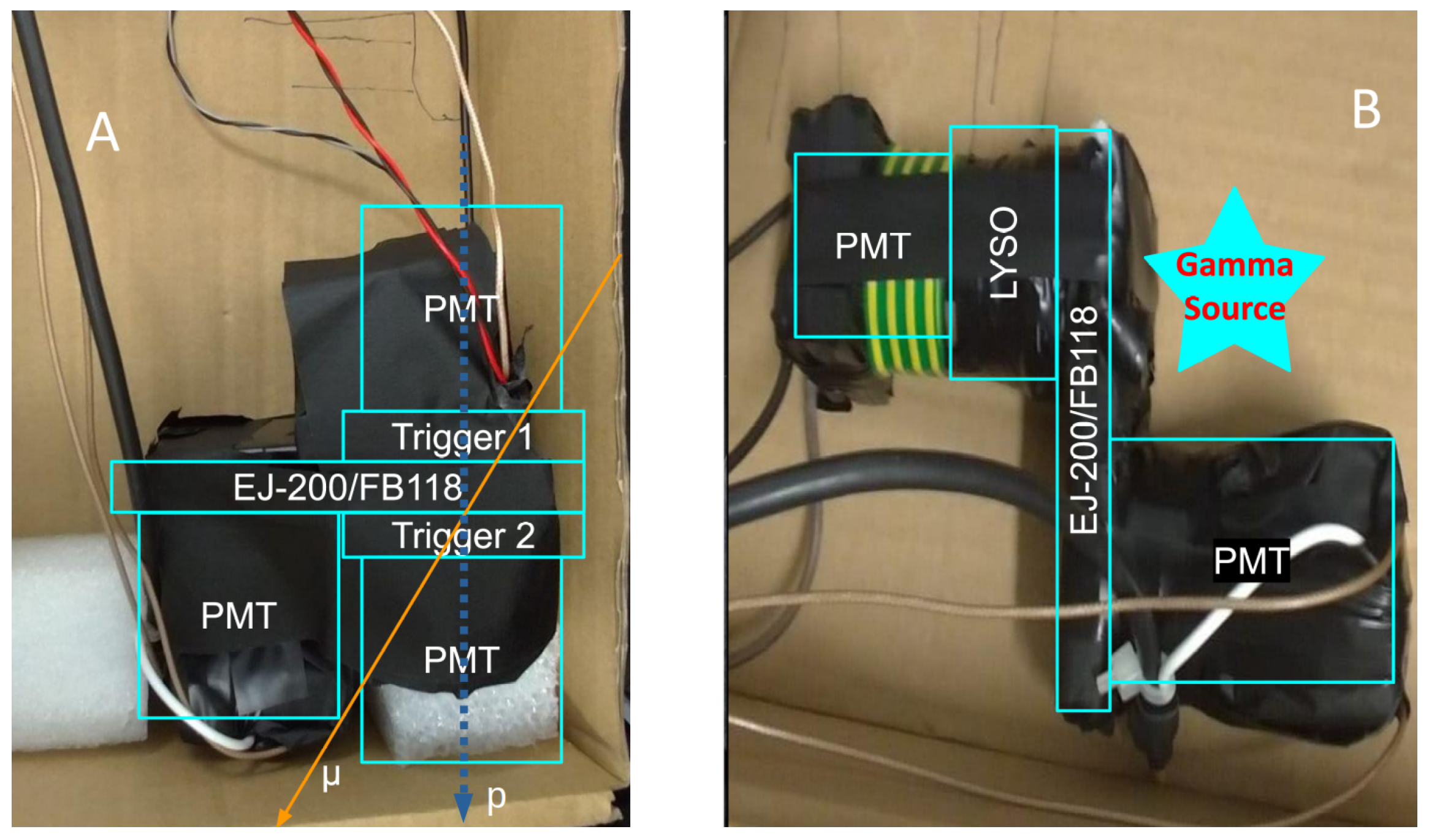 Particles 08 00079 g001