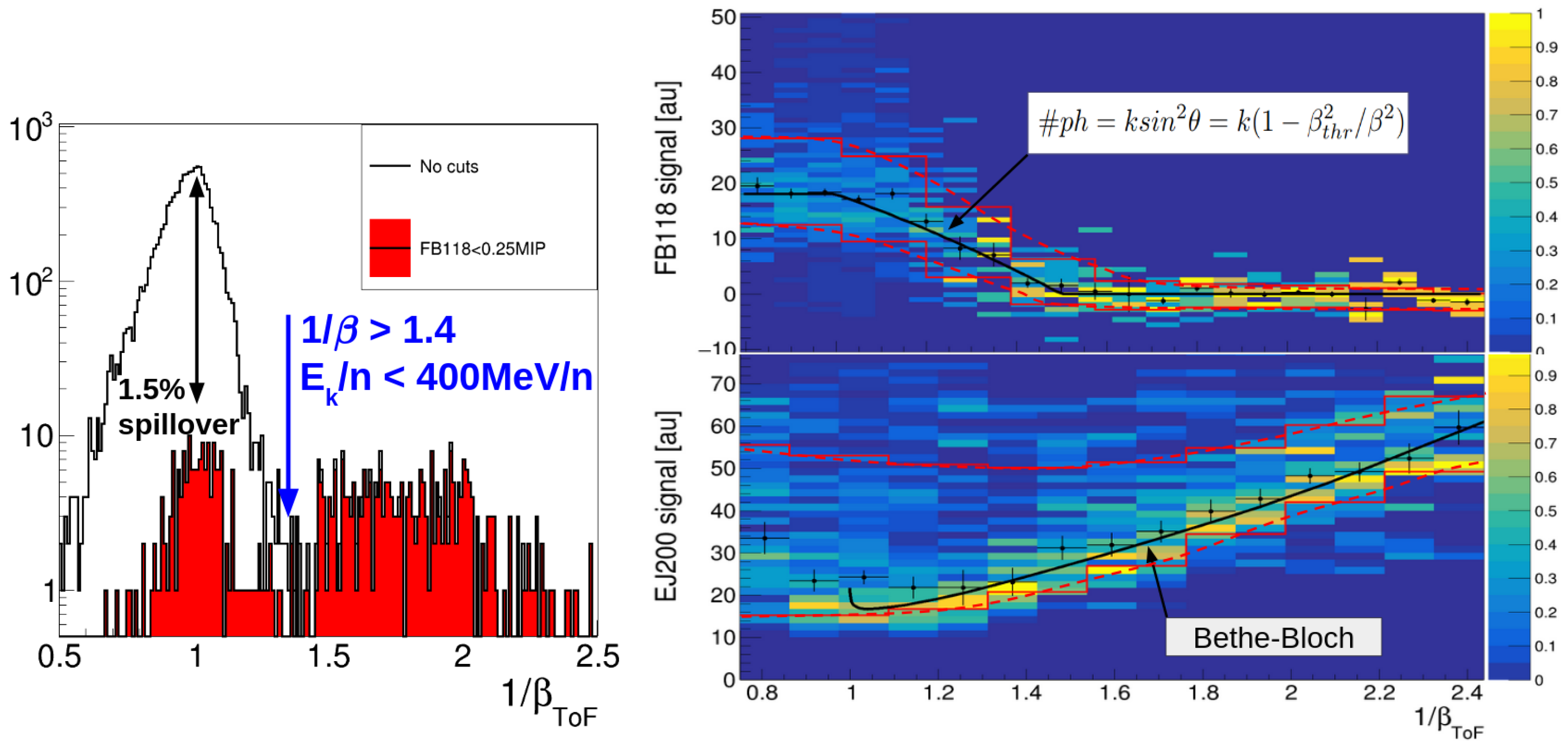 Particles 08 00079 g006