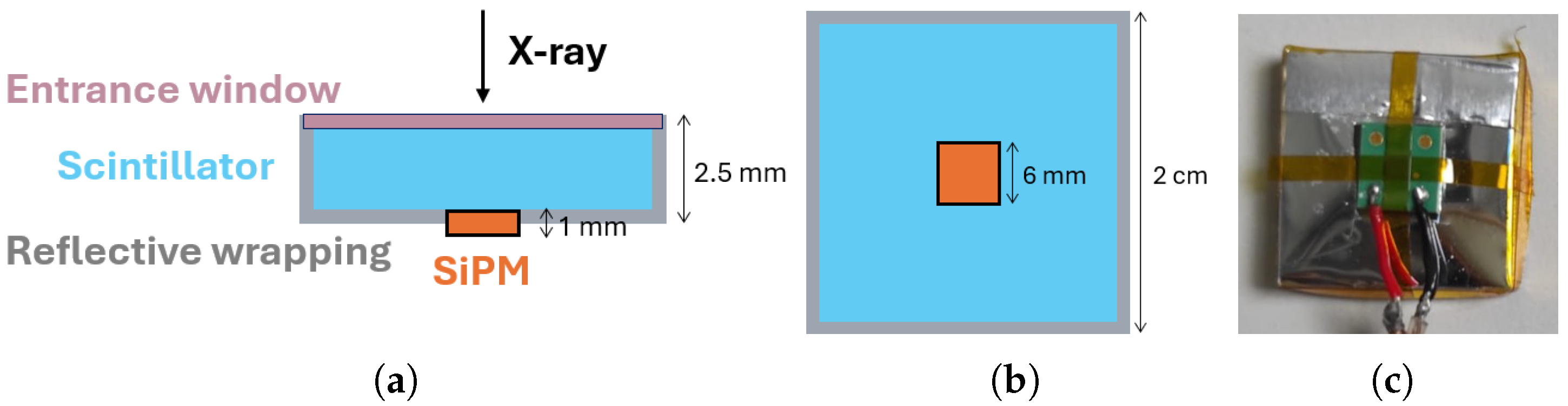 Particles 08 00101 g004