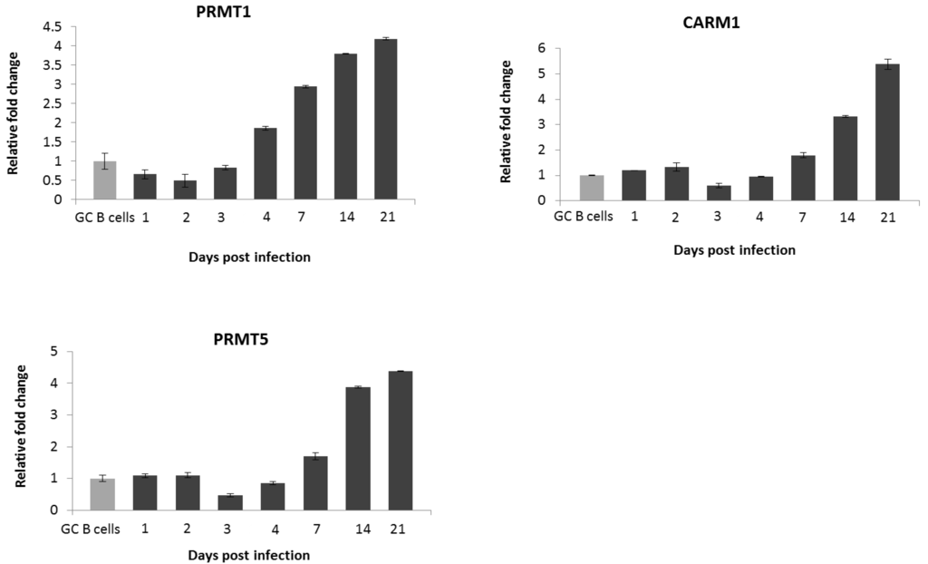 Pathogens 01 00052 g004 1024