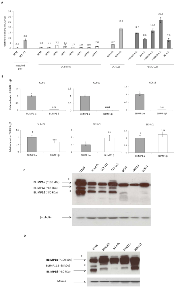 Pathogens 01 00083 g001 1024
