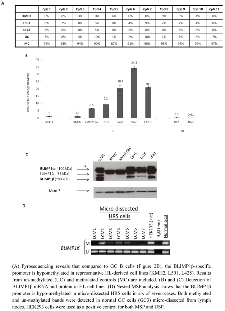 Pathogens 01 00083 g003 1024
