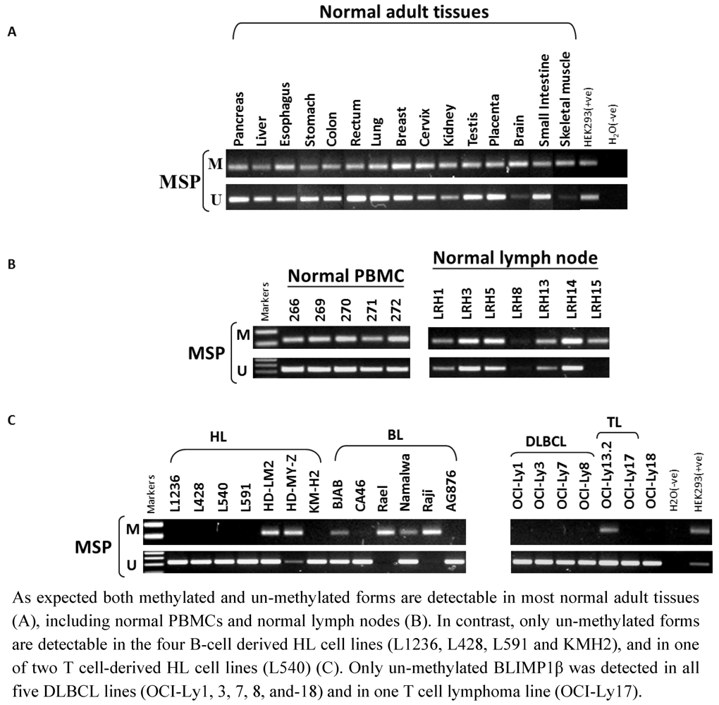 Pathogens 01 00083 g004 1024