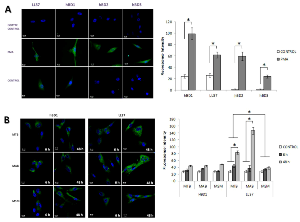 Pathogens 02 00013 g005 1024
