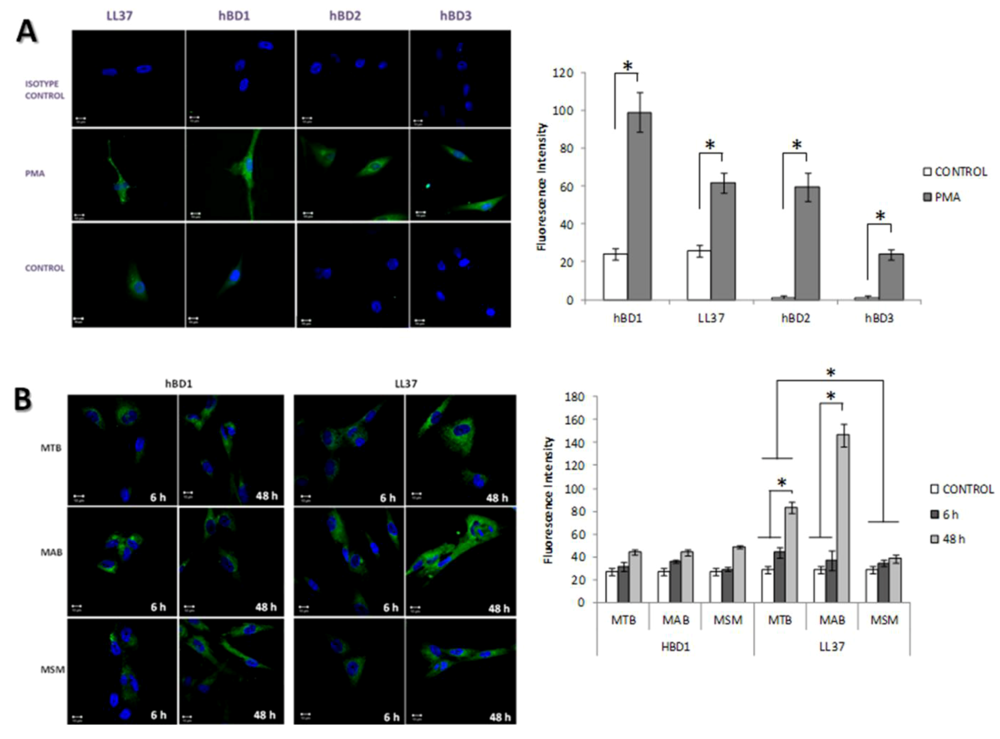 Pathogens 02 00013 g005