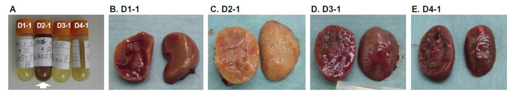 Pathogens 02 00357 g001 1024