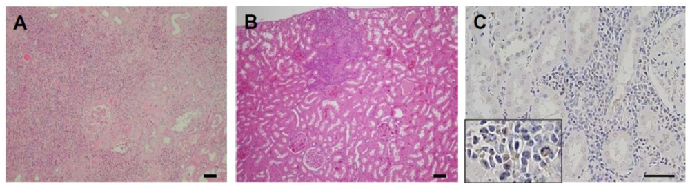 Pathogens 02 00357 g002