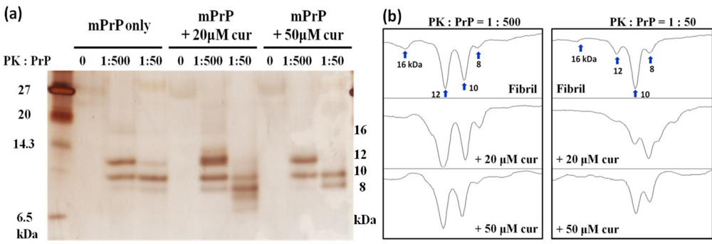 Pathogens 02 00506 g002
