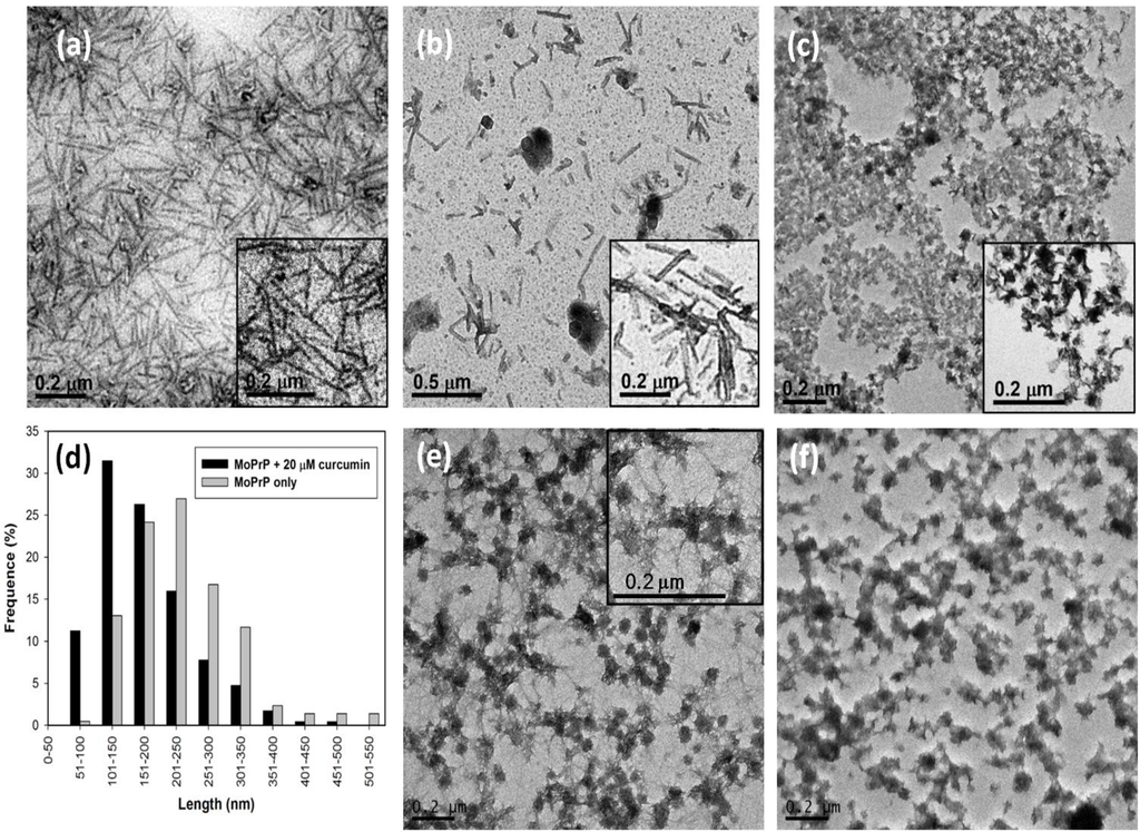 Pathogens 02 00506 g003 1024