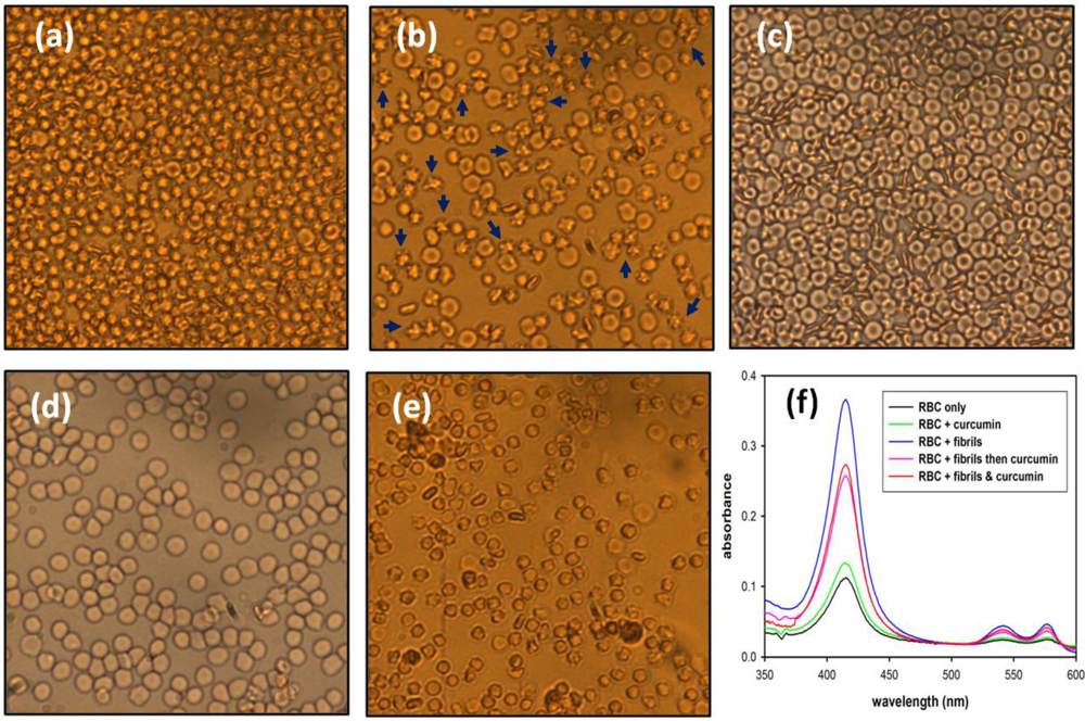 Pathogens 02 00506 g004