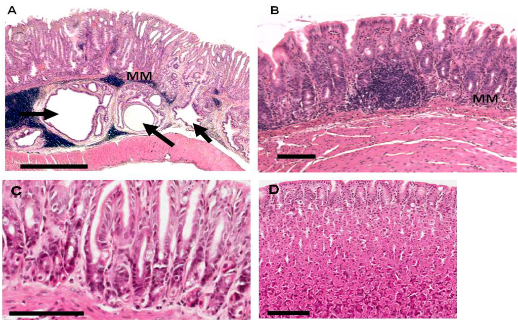 Pathogens 02 00571 g002 1024