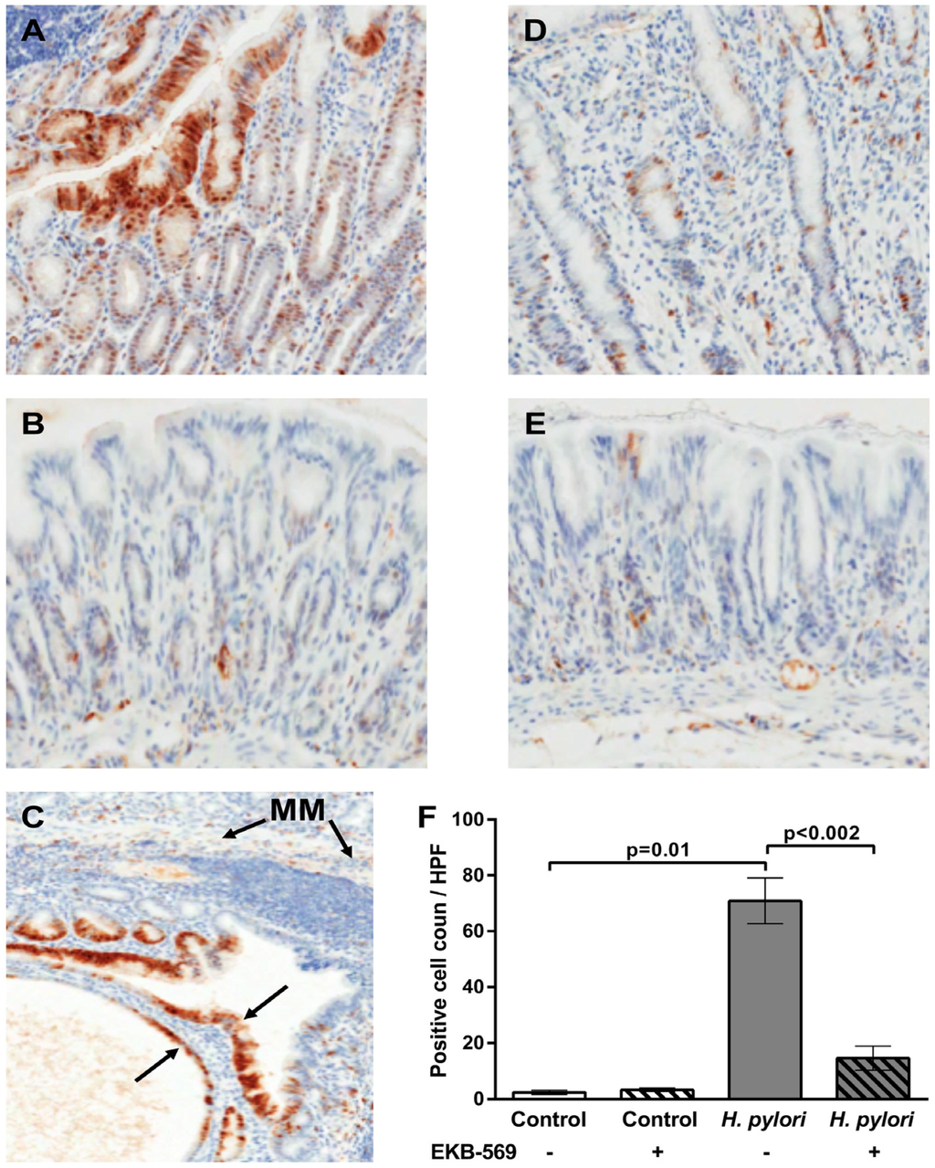 Pathogens 02 00571 g003 1024