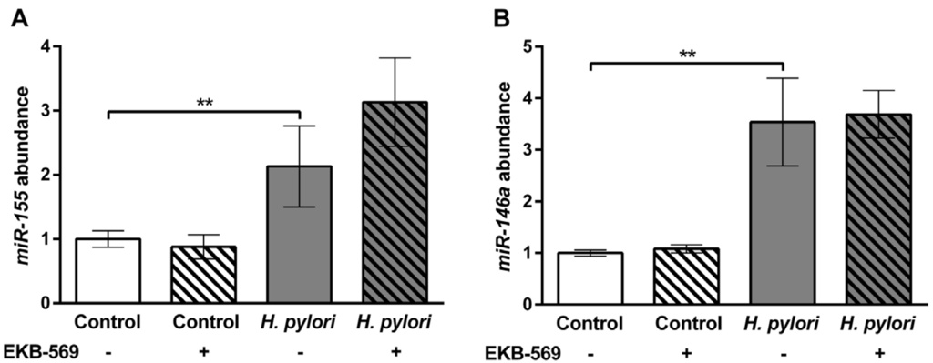 Pathogens 02 00571 g005 1024