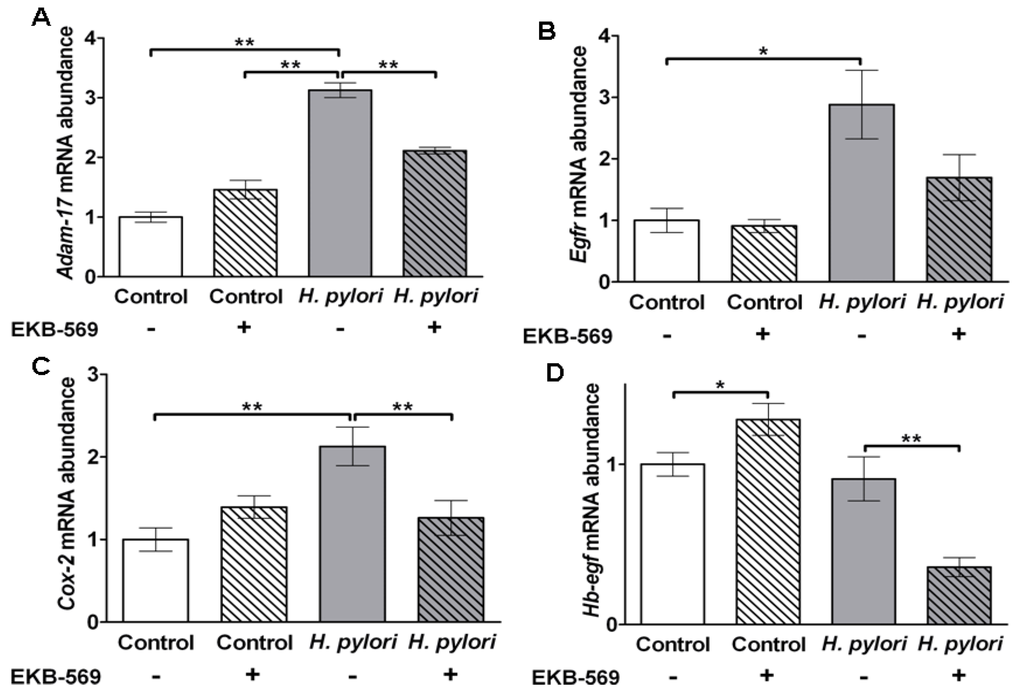 Pathogens 02 00571 g006 1024