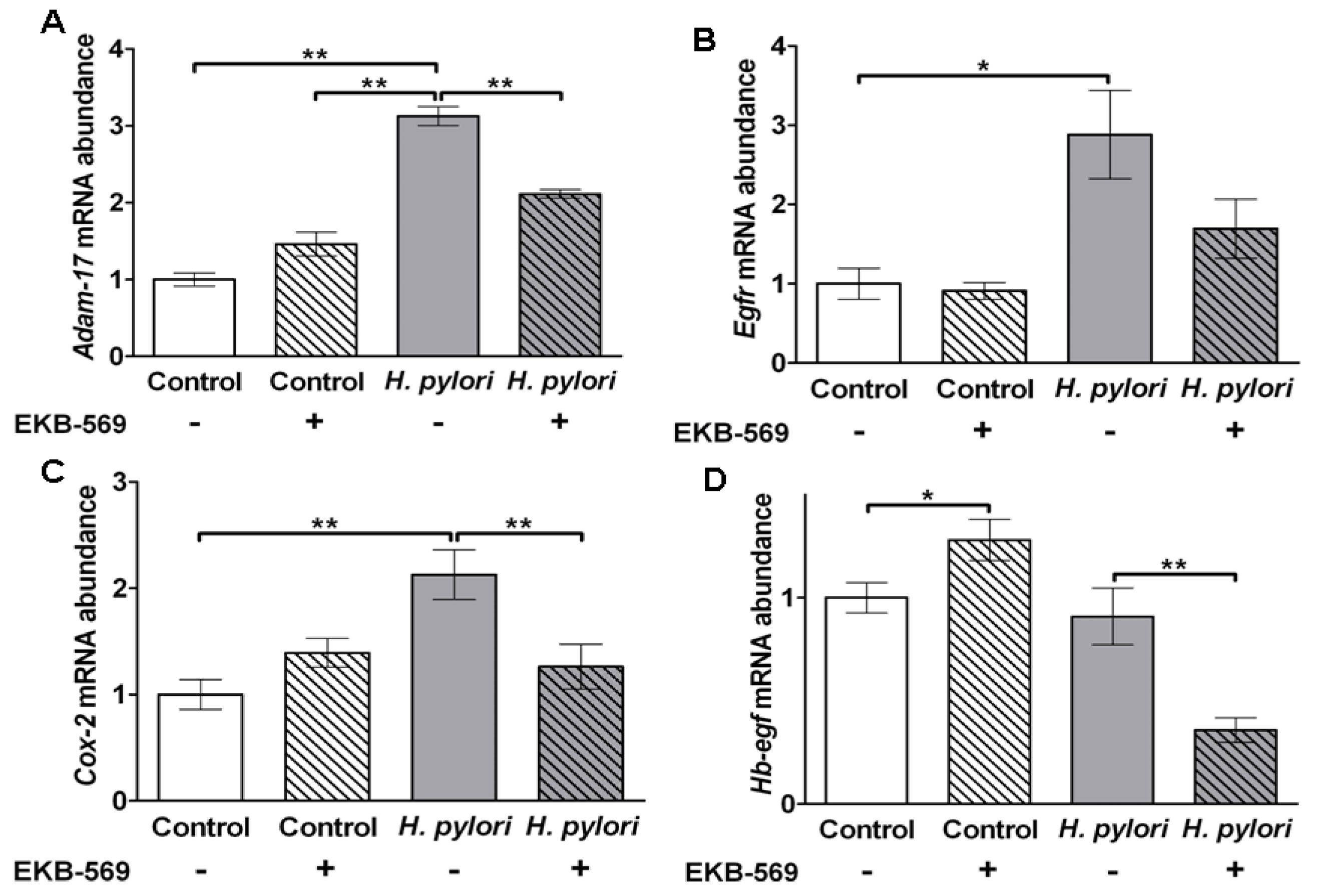 Pathogens 02 00571 g006