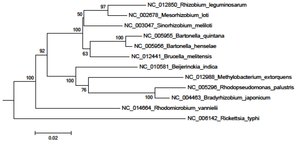 Pathogens 02 00627 g001 1024