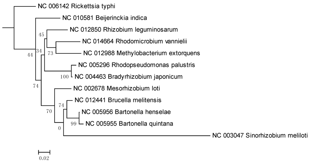 Pathogens 02 00627 g002 1024