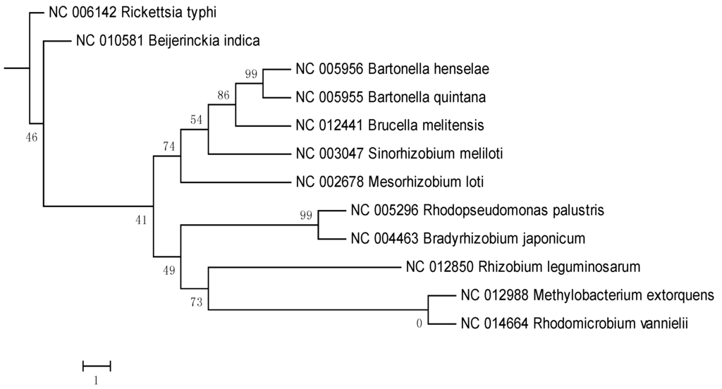 Pathogens 02 00627 g003 1024