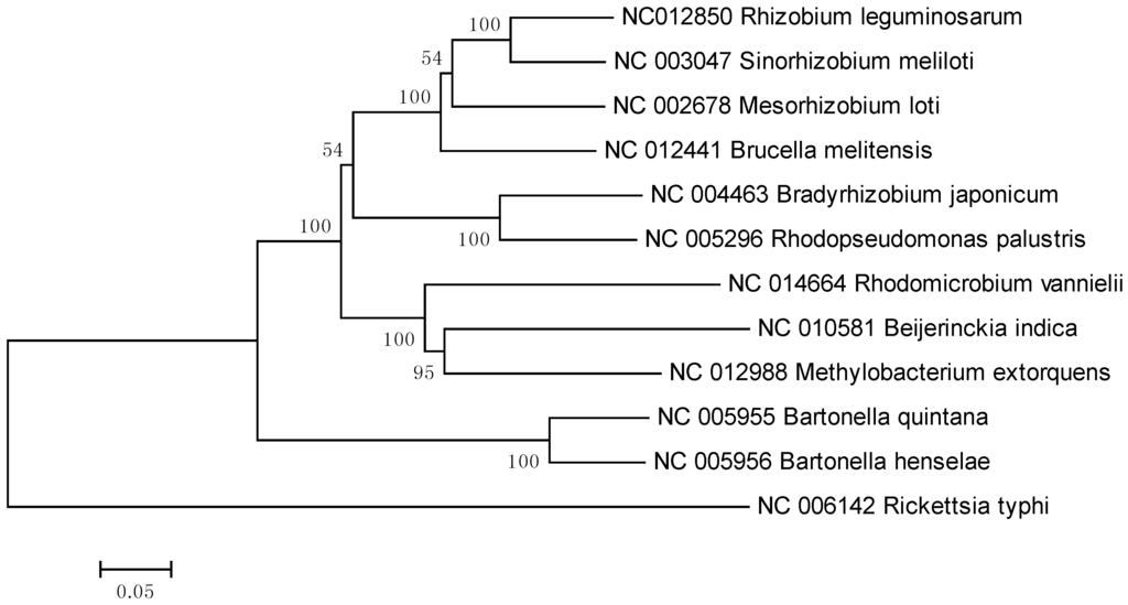 Pathogens 02 00627 g004 1024