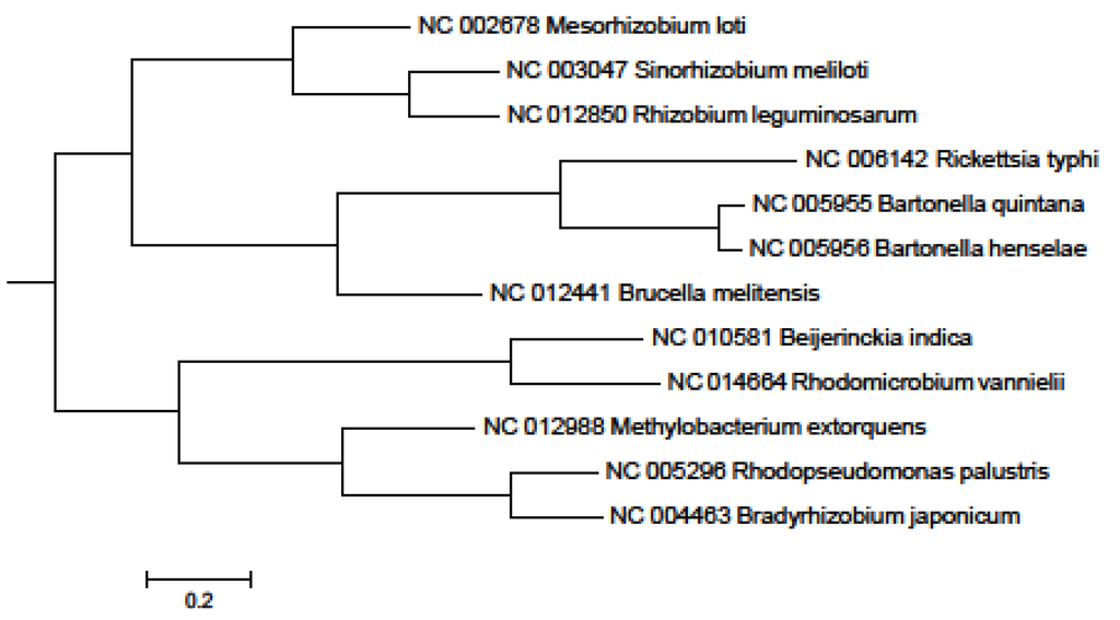 Pathogens 02 00627 g006 1024