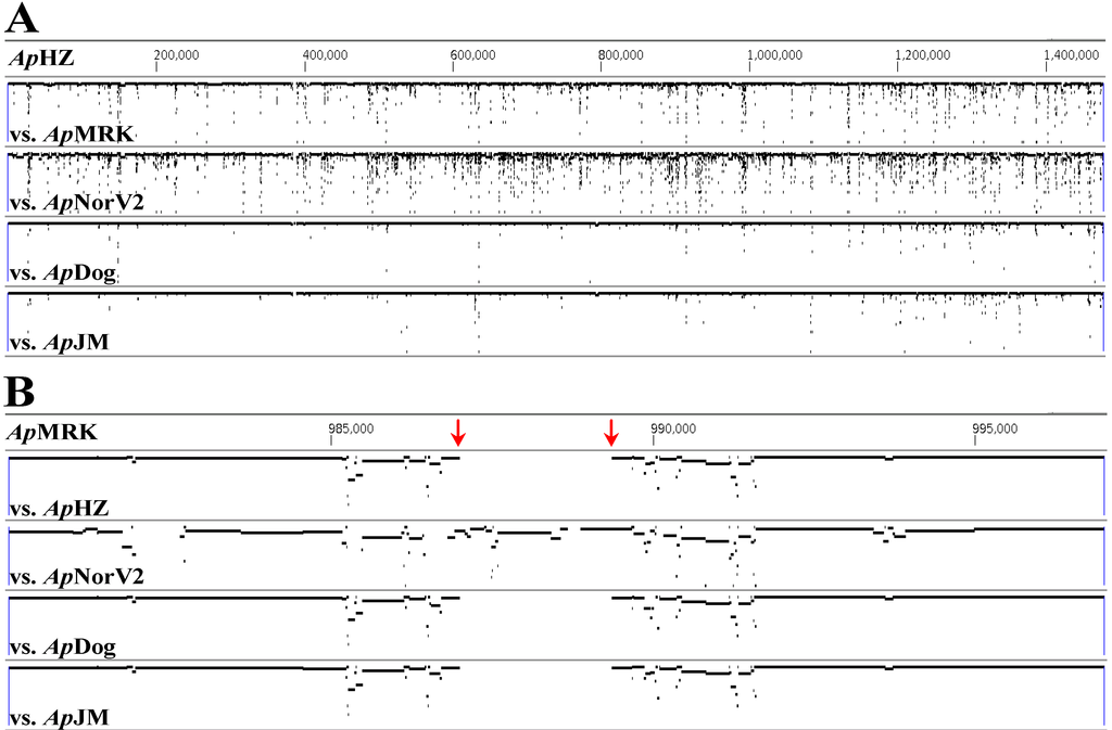 Pathogens 03 00025 g001 1024