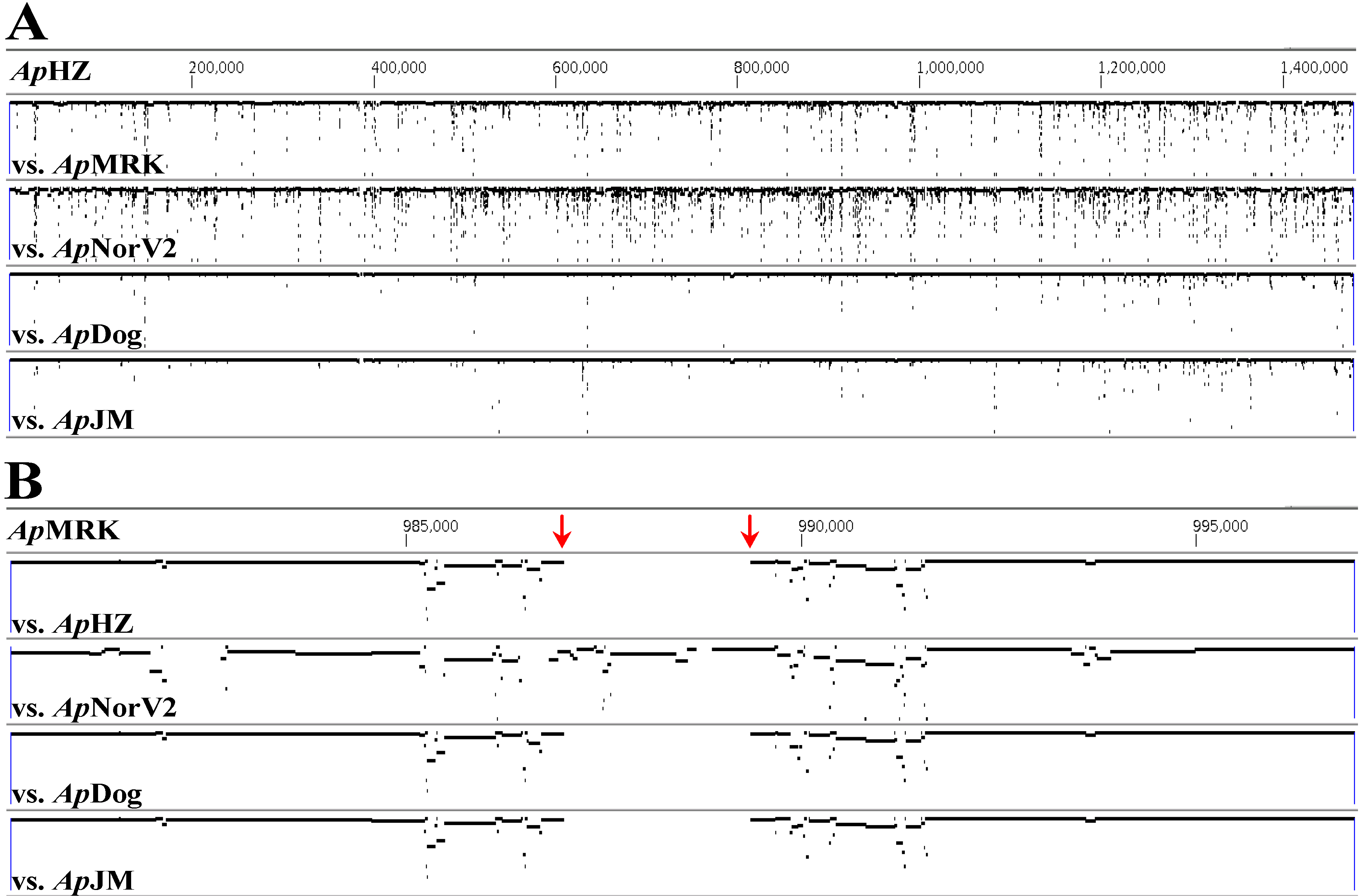 Pathogens 03 00025 g001