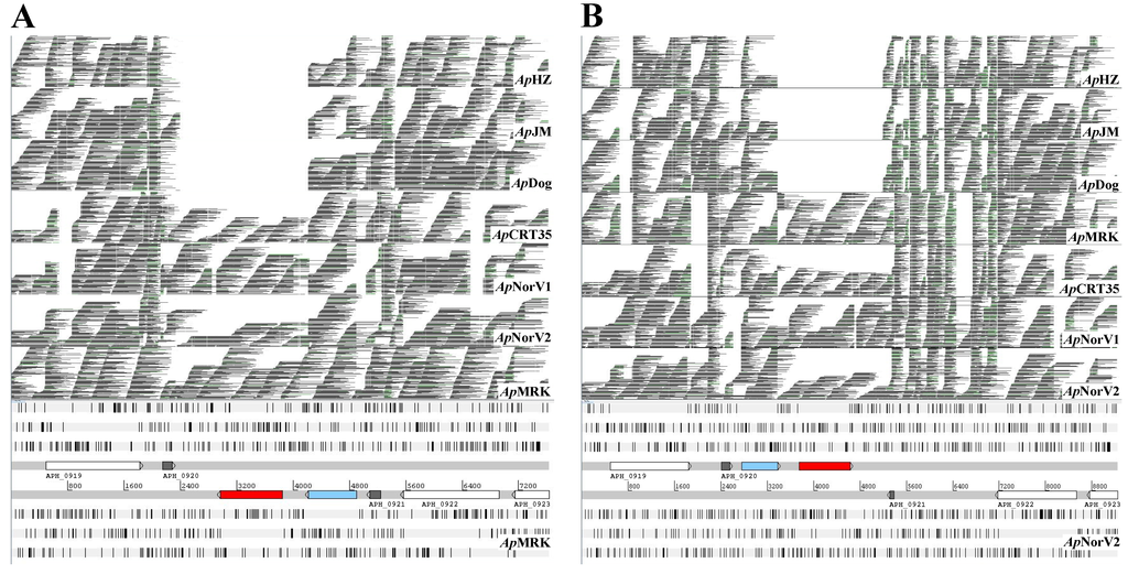 Pathogens 03 00025 g002 1024