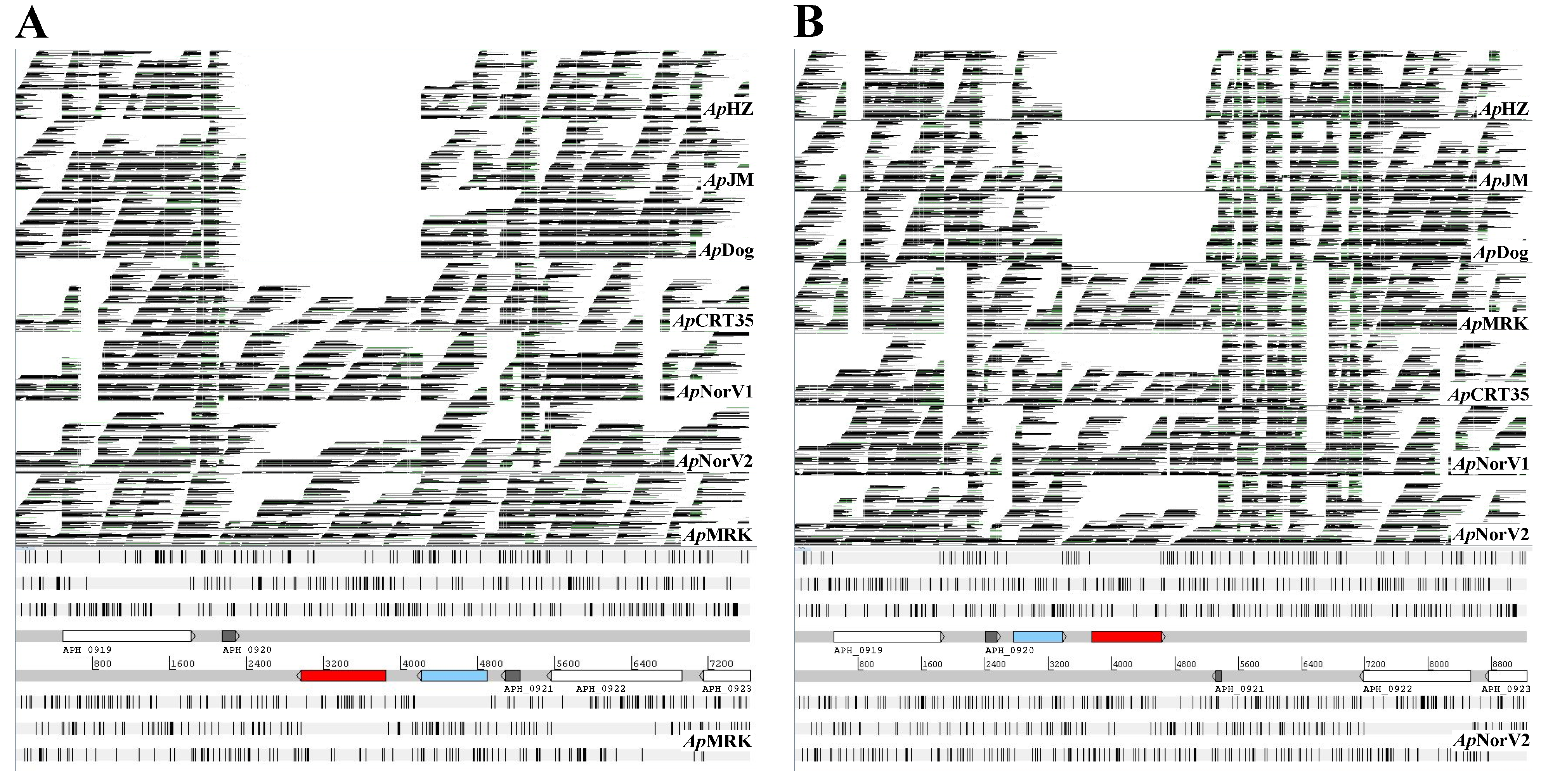 Pathogens 03 00025 g002