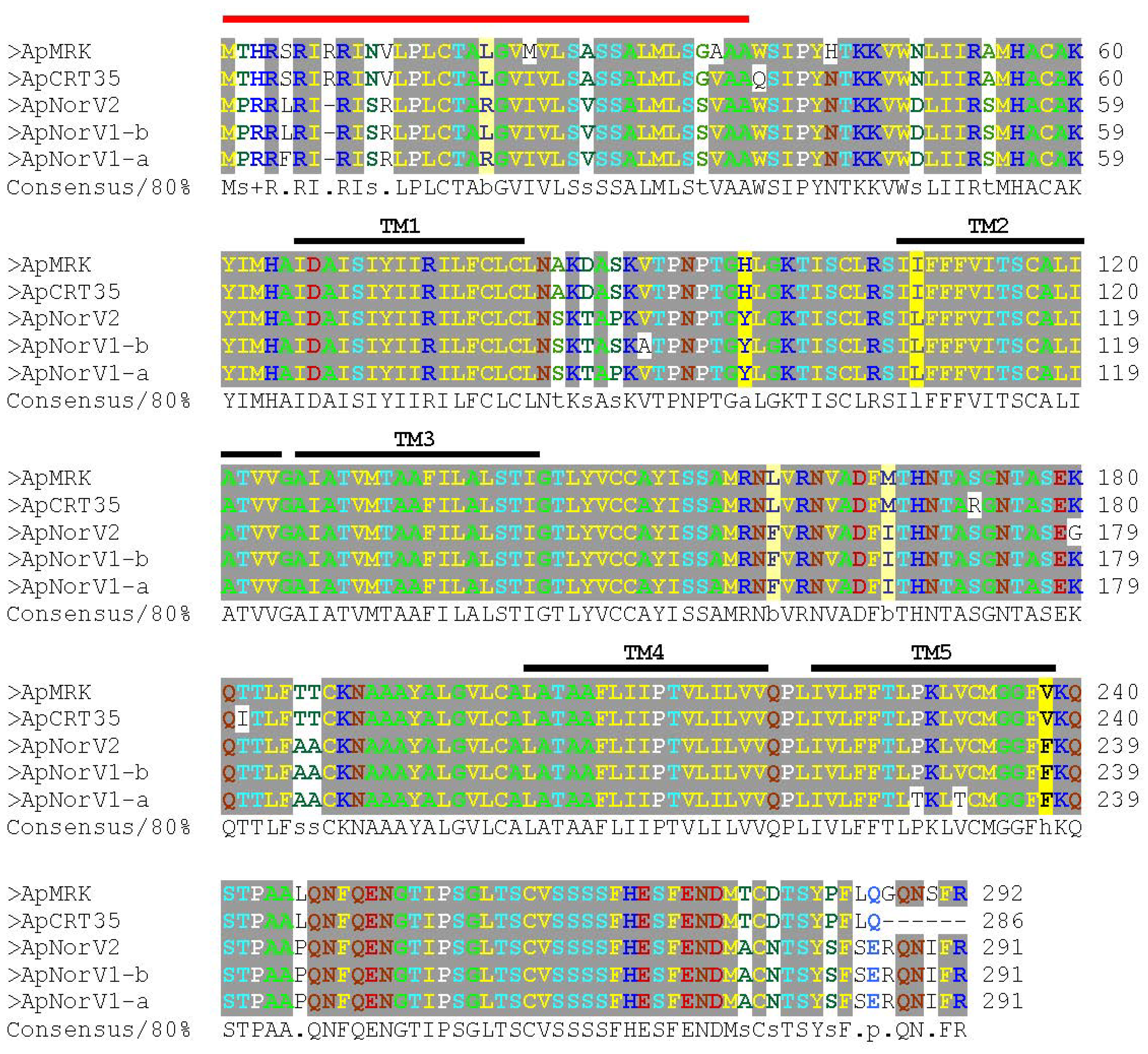 Pathogens 03 00025 g004
