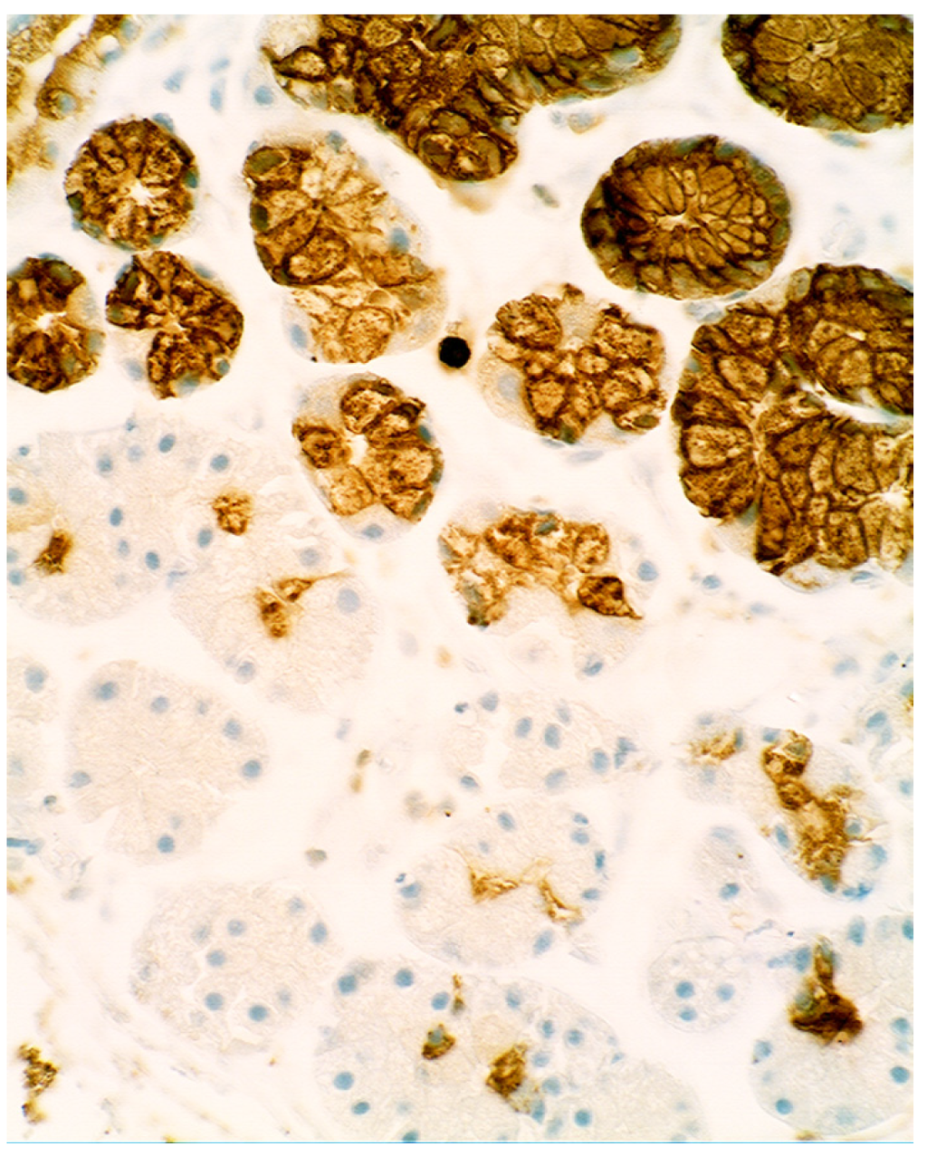 Pathogens 03 00073 g004 1024