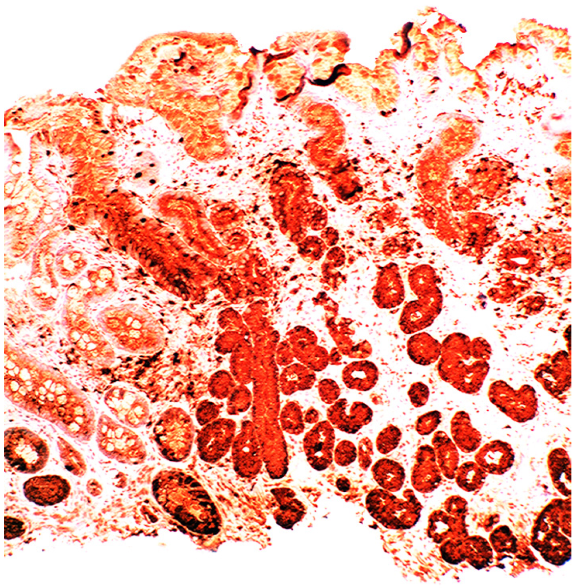 Pathogens 03 00073 g005