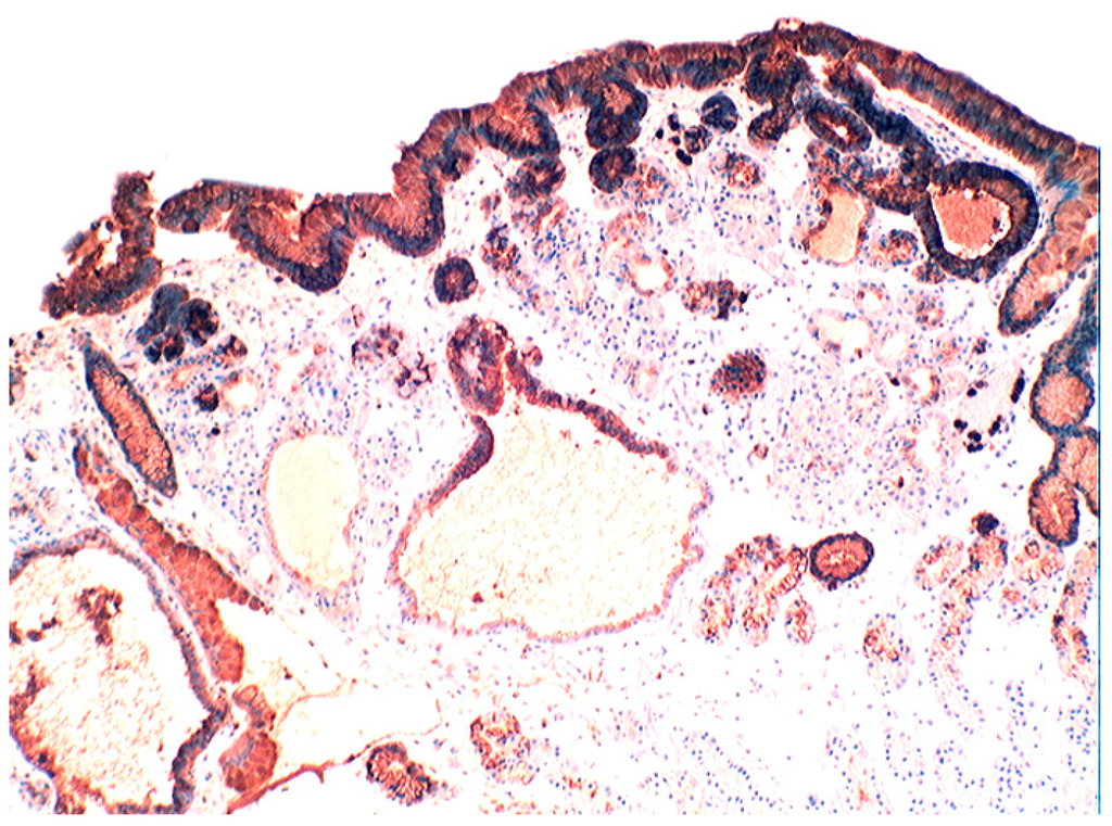 Pathogens 03 00073 g008 1024