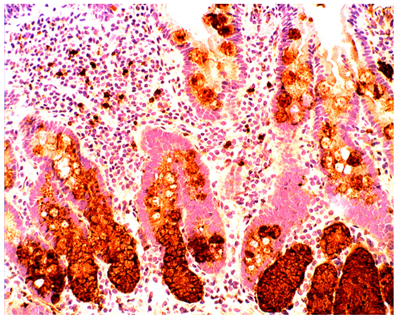 Pathogens 03 00073 g009