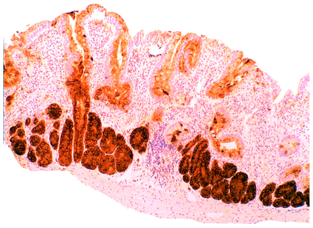 Pathogens 03 00073 g010 1024