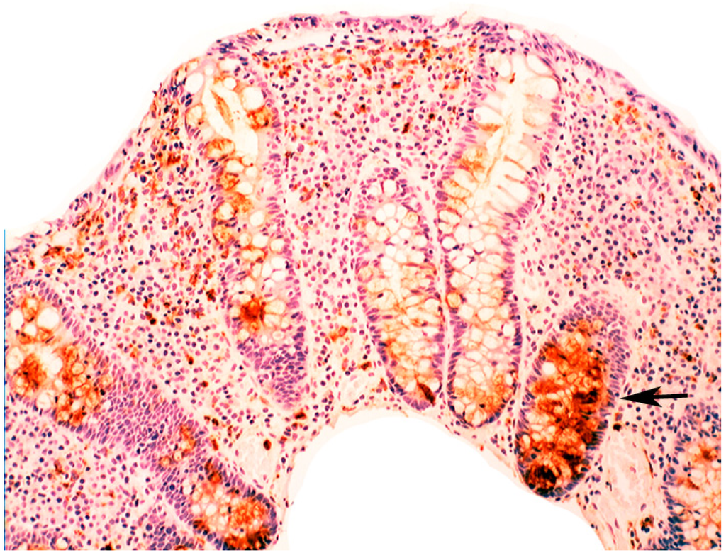 Pathogens 03 00073 g013 1024