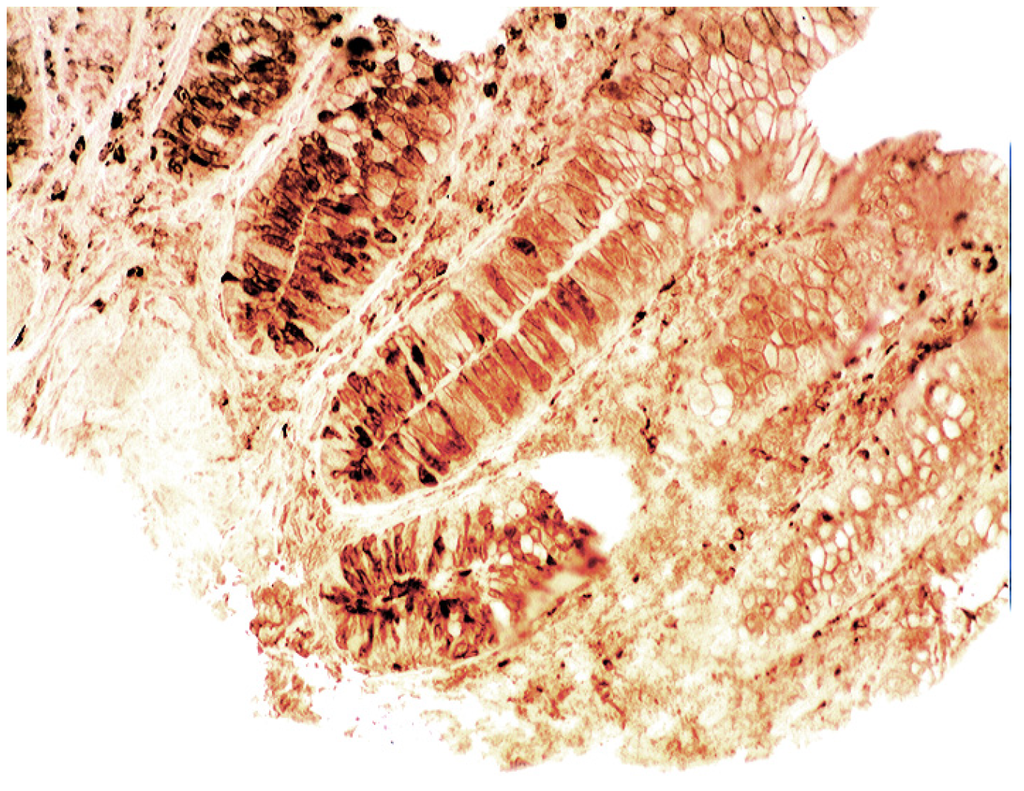 Pathogens 03 00073 g014 1024