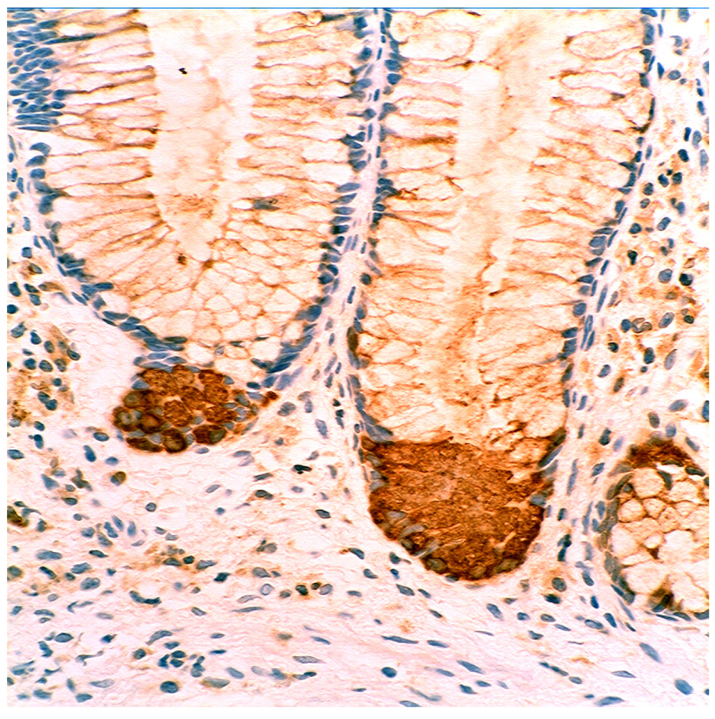 Pathogens 03 00073 g015 1024