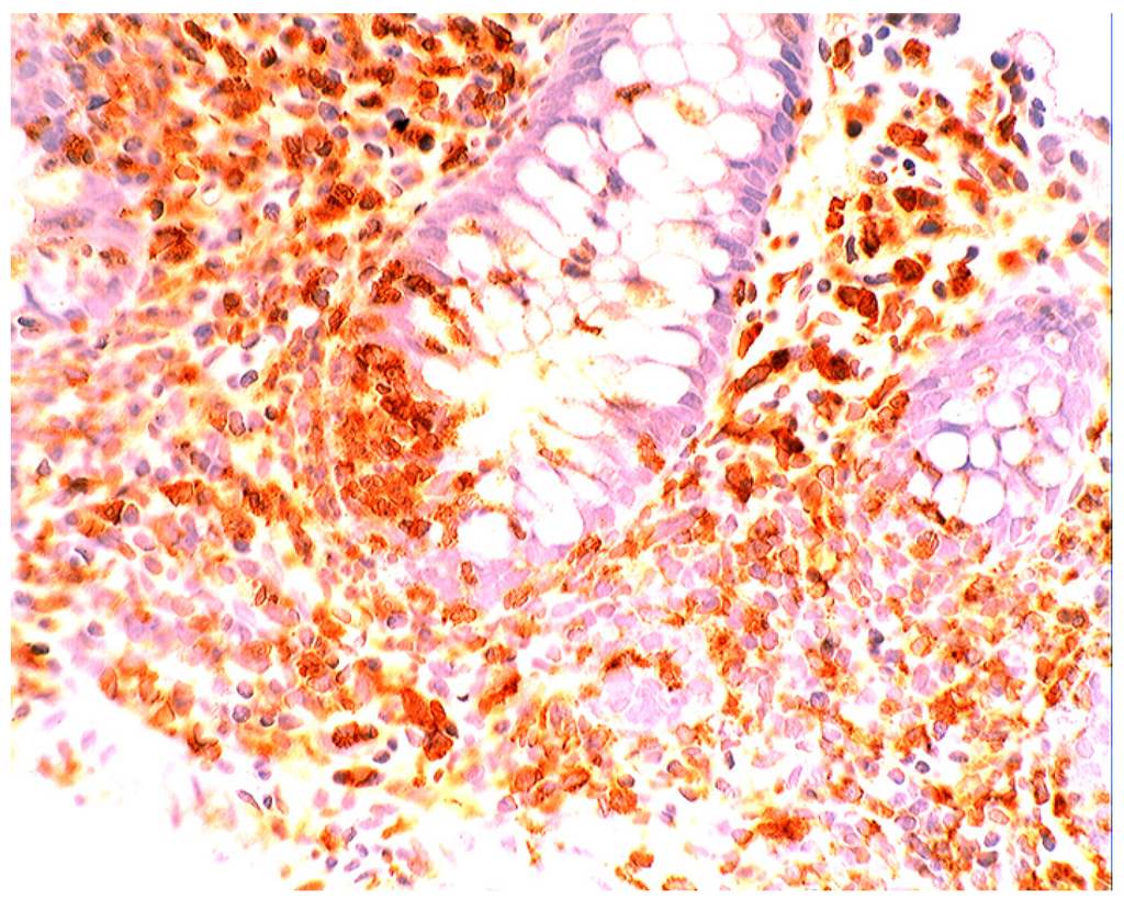 Pathogens 03 00073 g016 1024