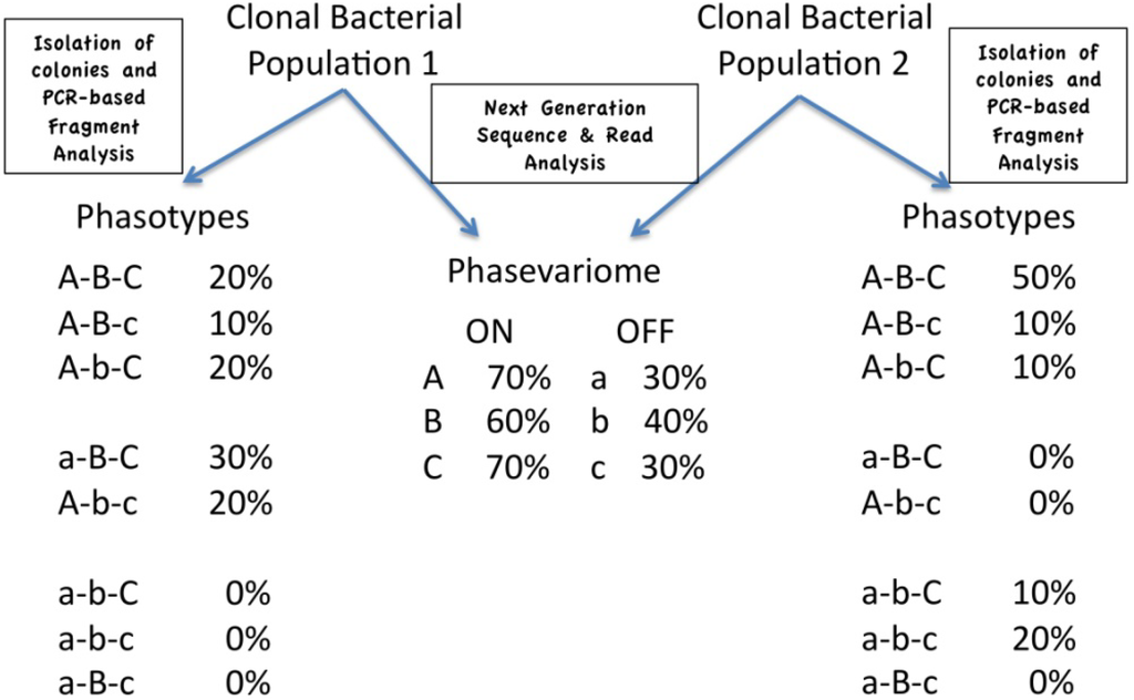 Pathogens 03 00164 g001 1024