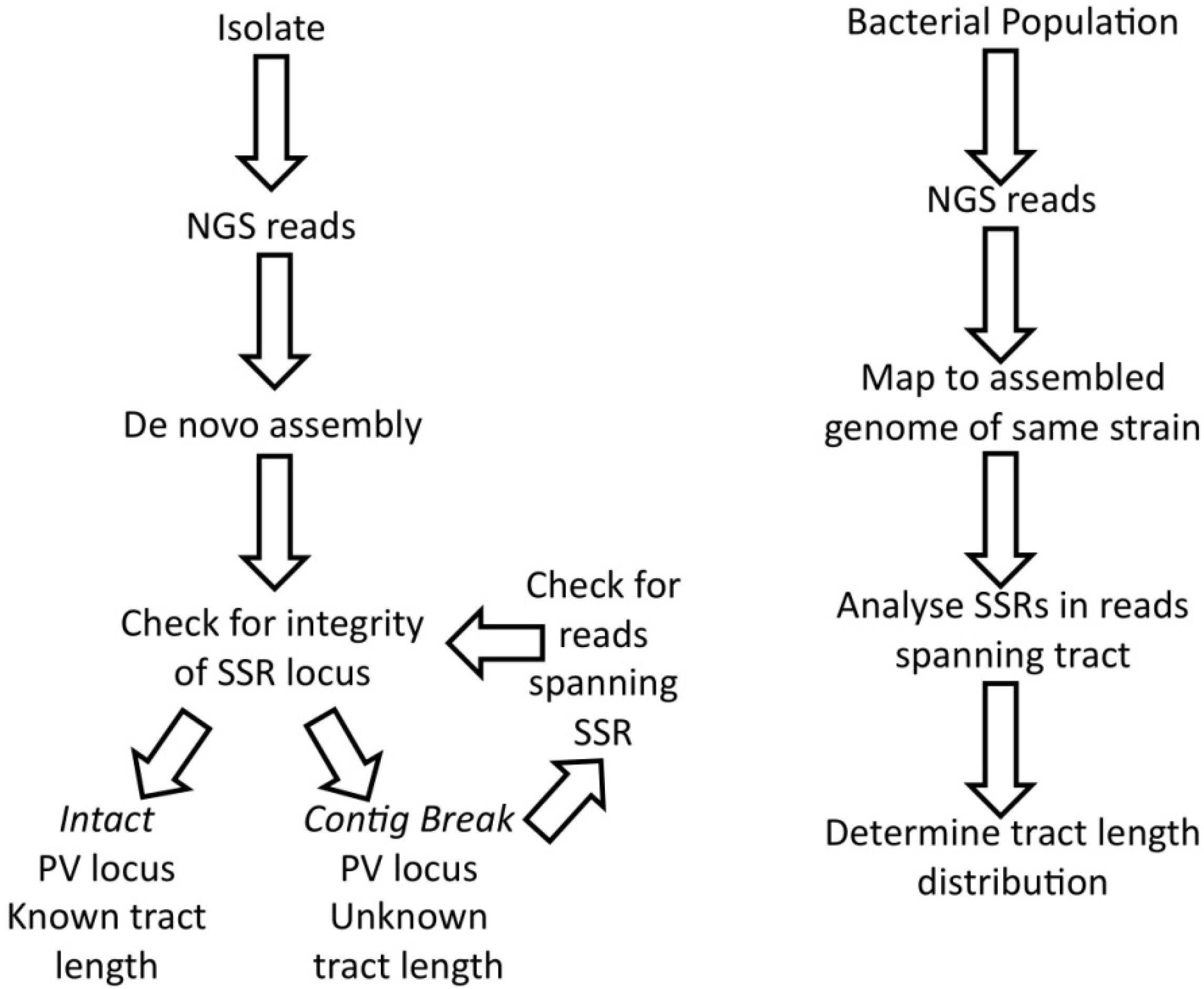 Pathogens 03 00164 g002