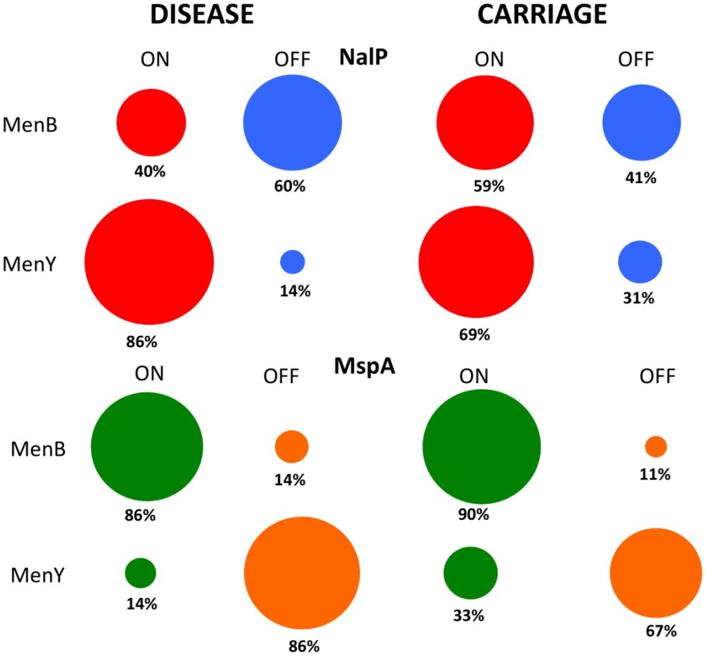 Pathogens 03 00164 g004 1024