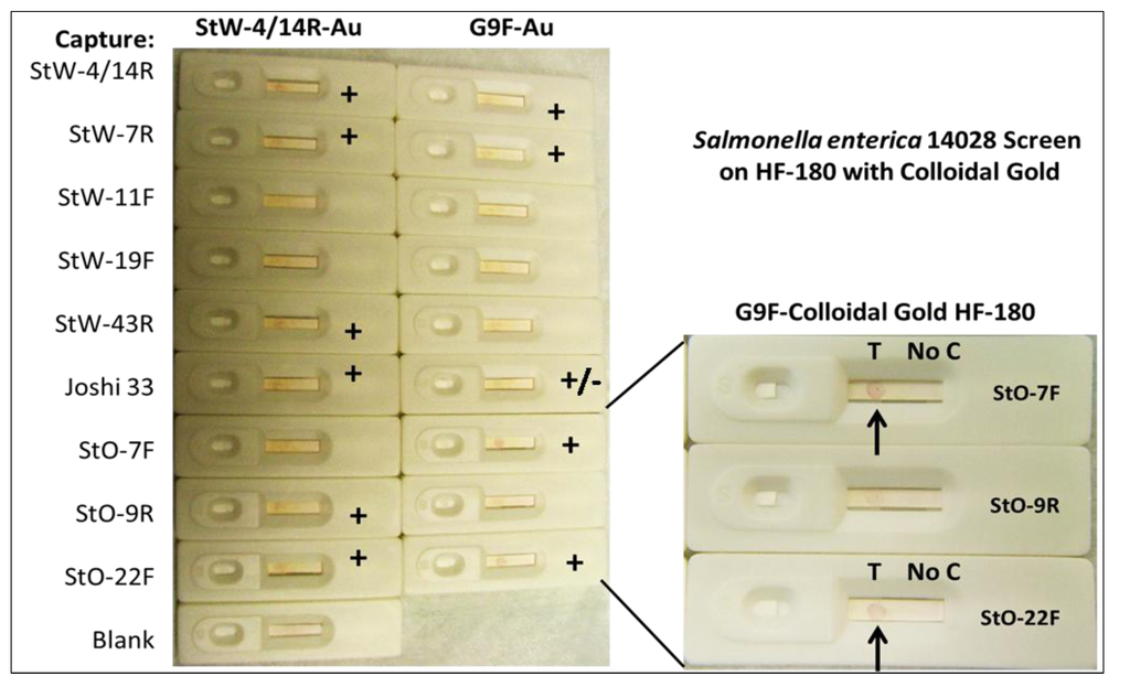 Pathogens 03 00341 g008 1024