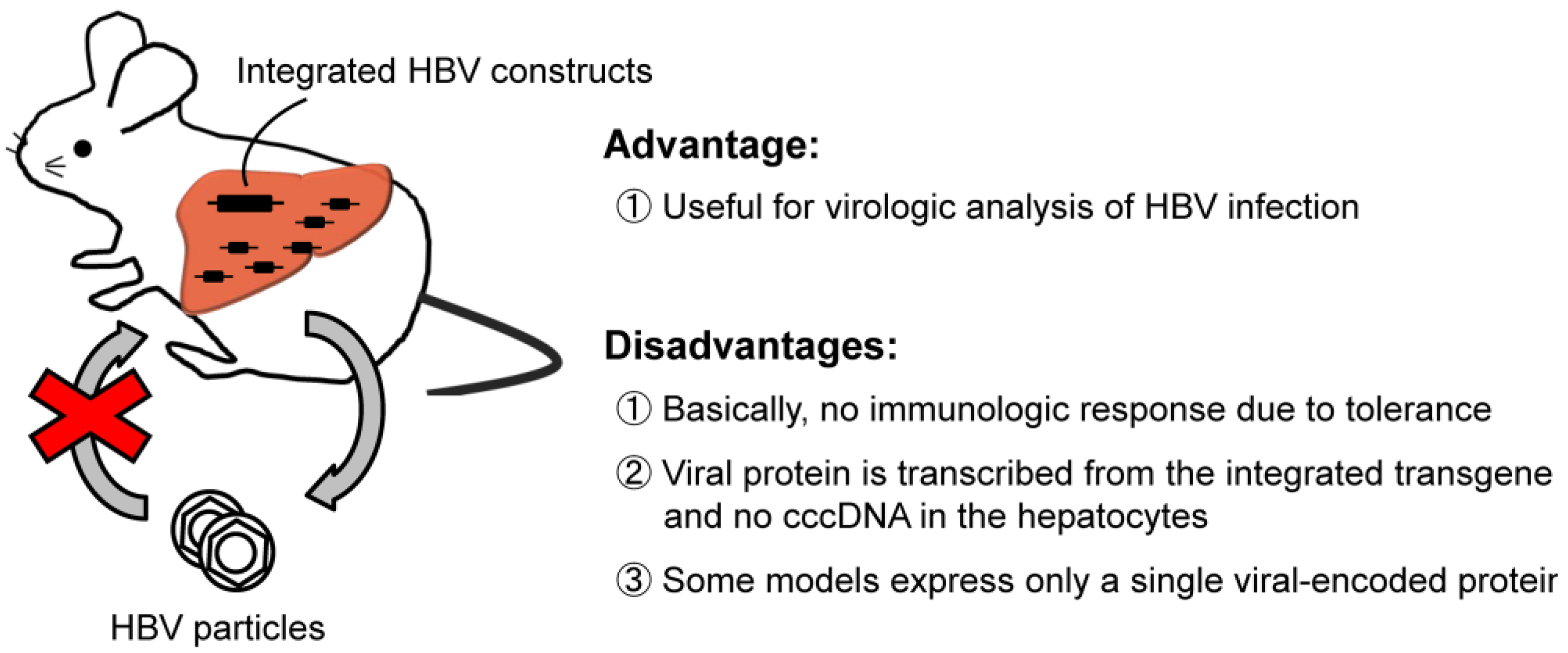 Pathogens 03 00377 g001
